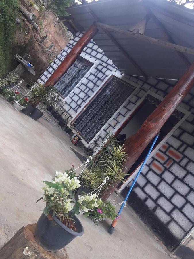 Ohiya Jungle Resort المظهر الخارجي الصورة