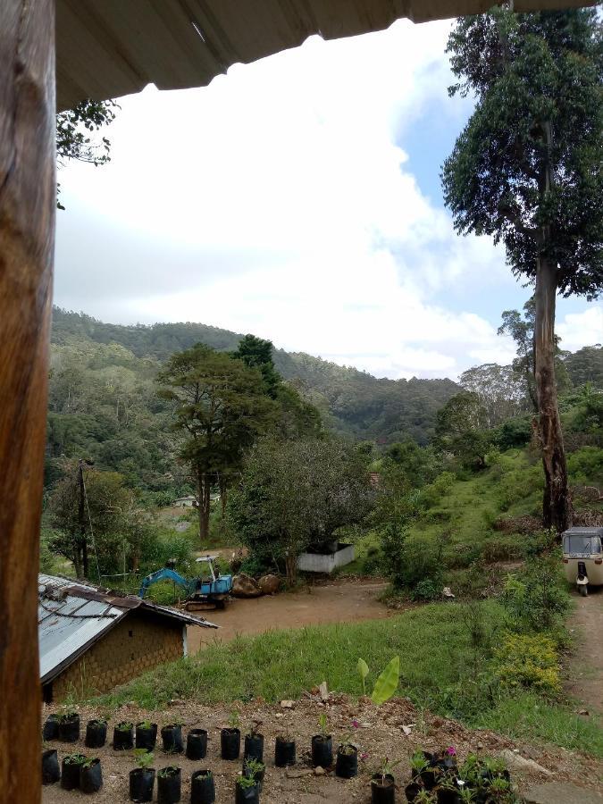 Ohiya Jungle Resort المظهر الخارجي الصورة